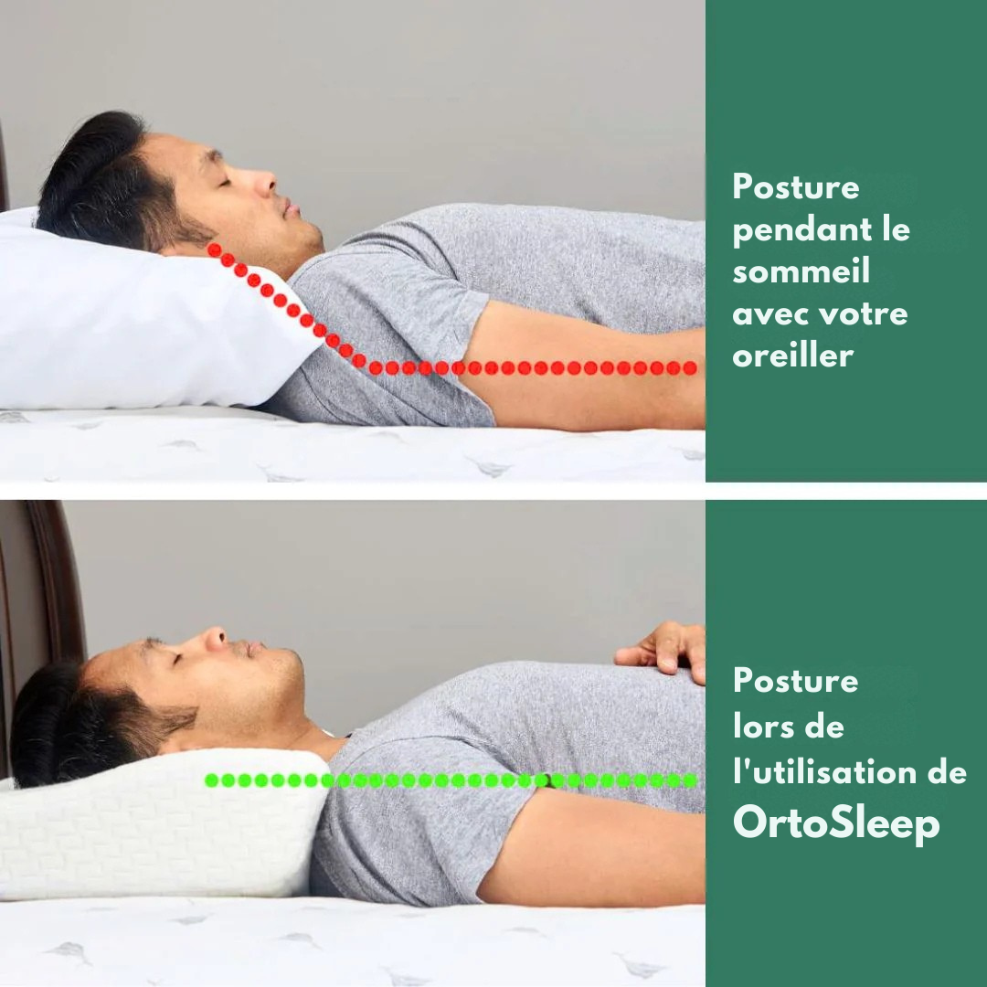 OrtoSleep Oreiller orthopédique